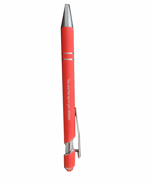 <span class="notranslate">Willow pen</span>